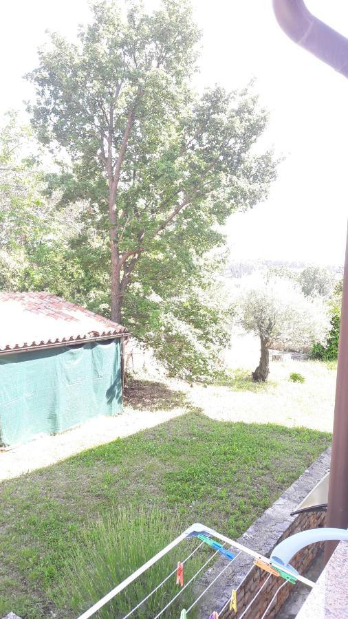 Apartment Radovan Poreč Kültér fotó