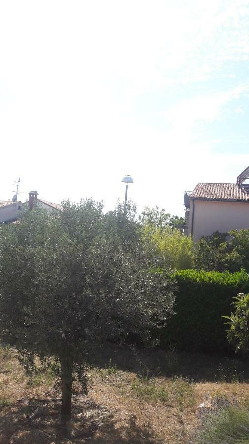 Apartment Radovan Poreč Kültér fotó