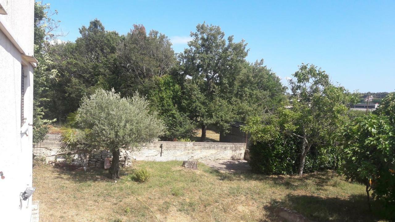 Apartment Radovan Poreč Kültér fotó